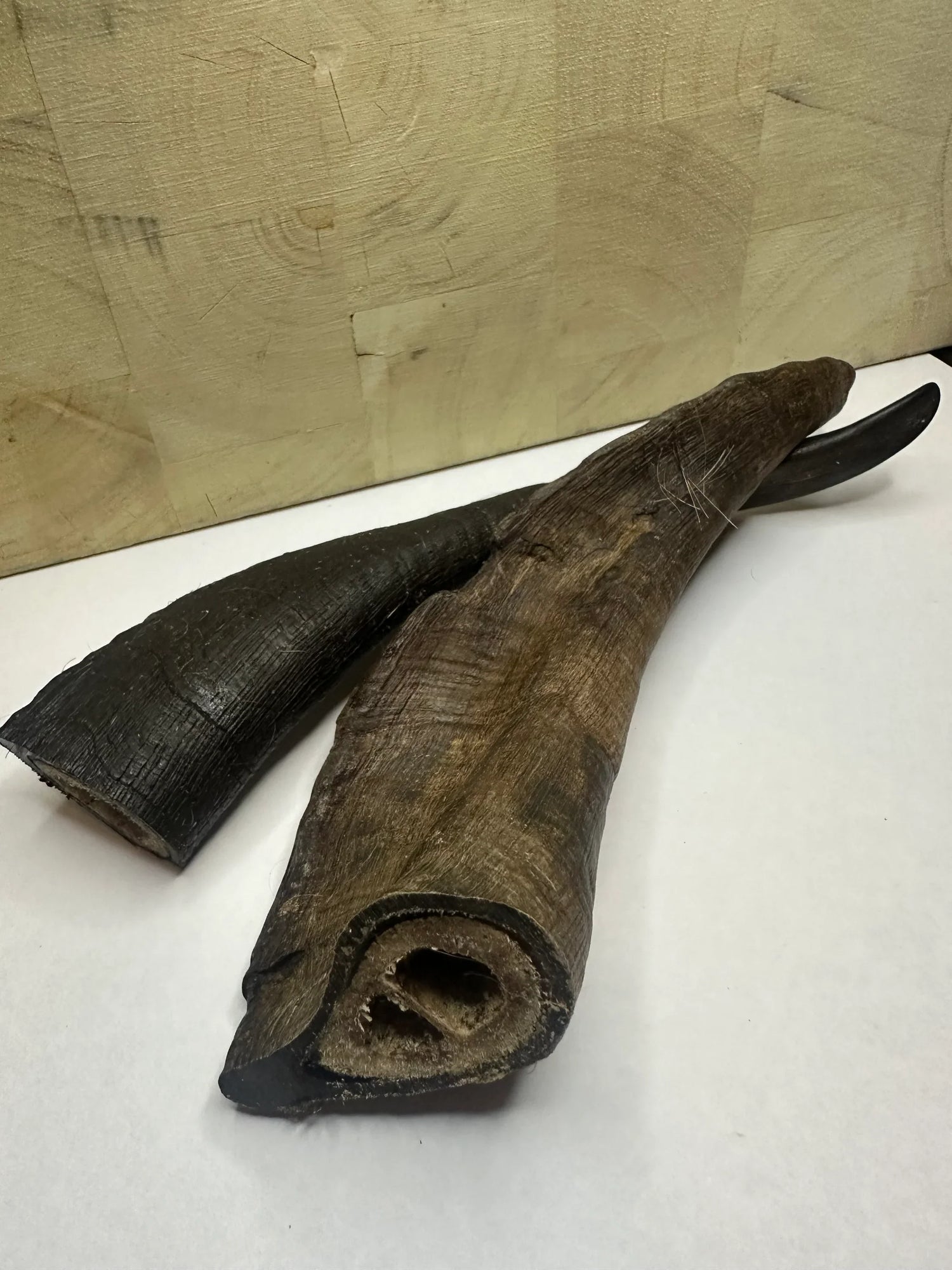 Crocodile, Duck and Goat