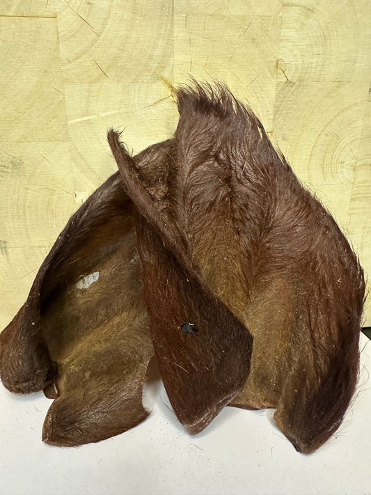 Beef Ear (fur on)