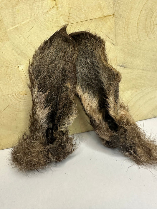 Kangaroo Ears (Fur on)