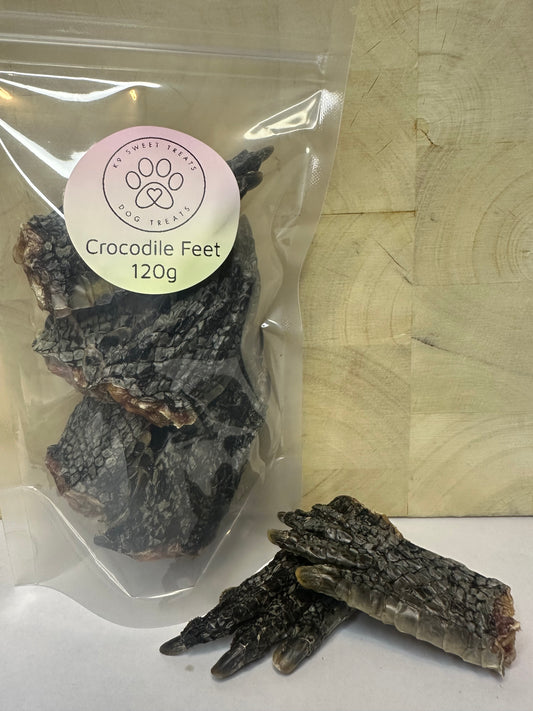 Crocodile Feet